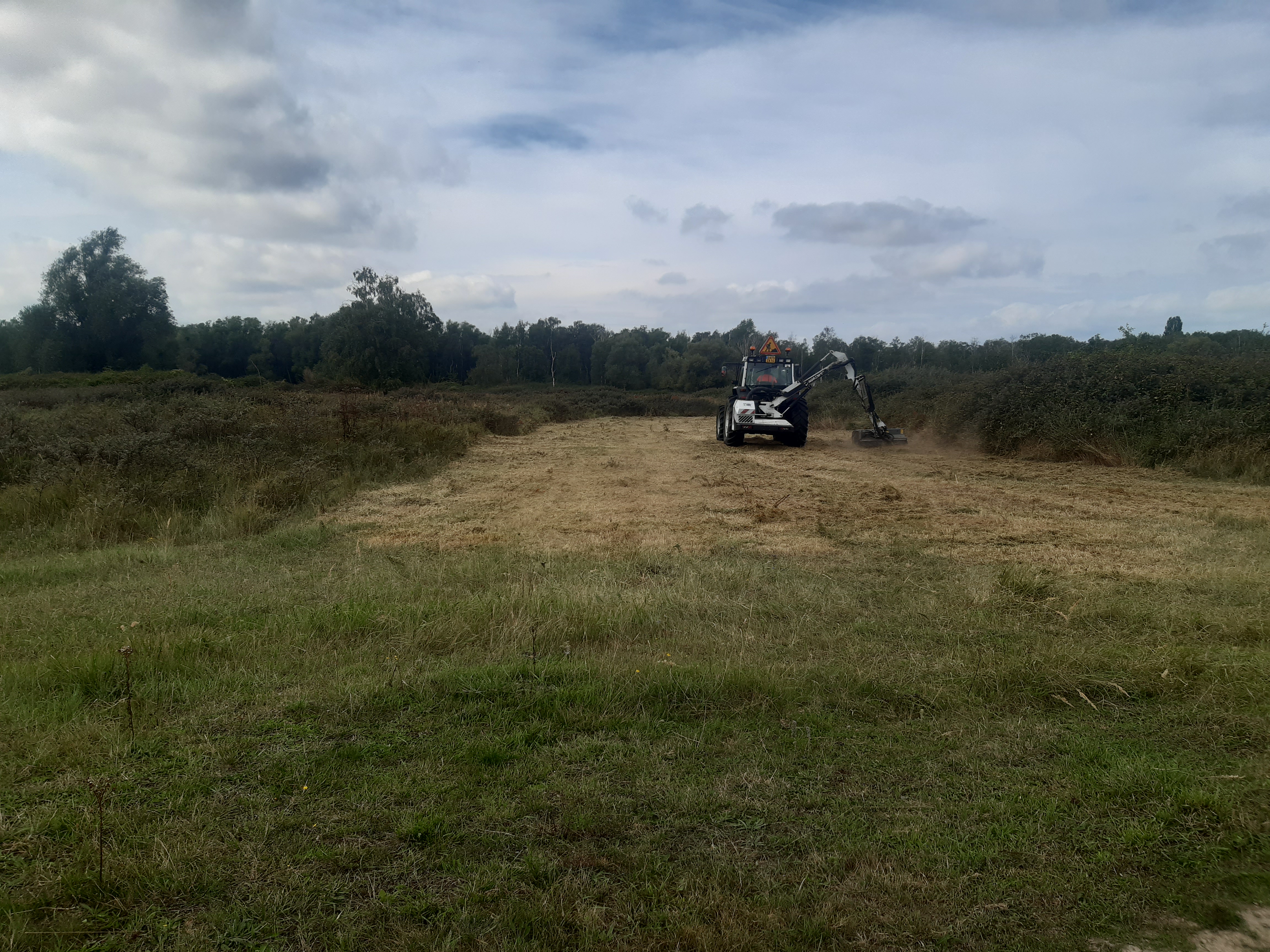 Broyage_argousiers_Rives de Seine Sud (2).jpg