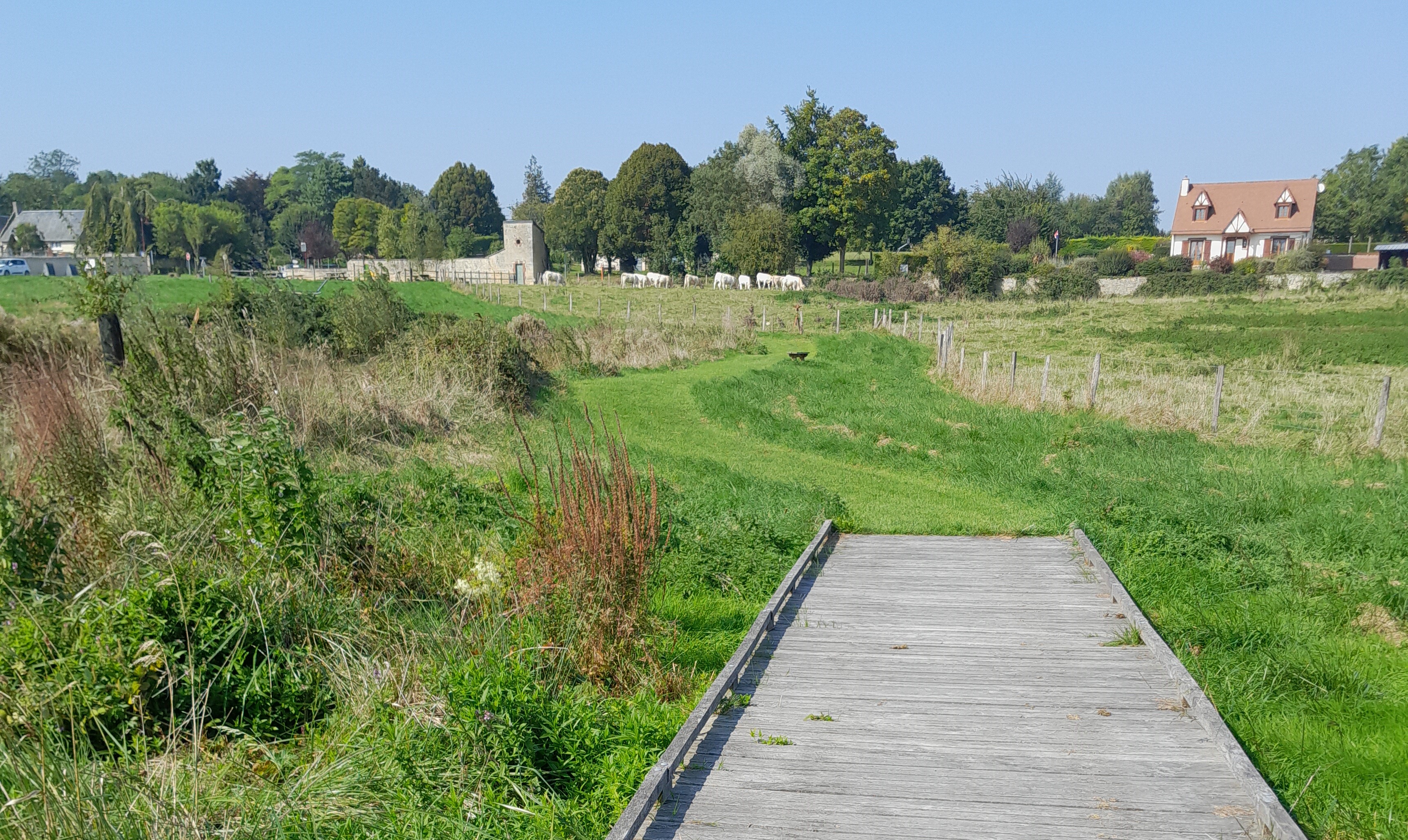 Thue-et-Mue_Sainte-Croix-Grand-Tonne (3).jpg