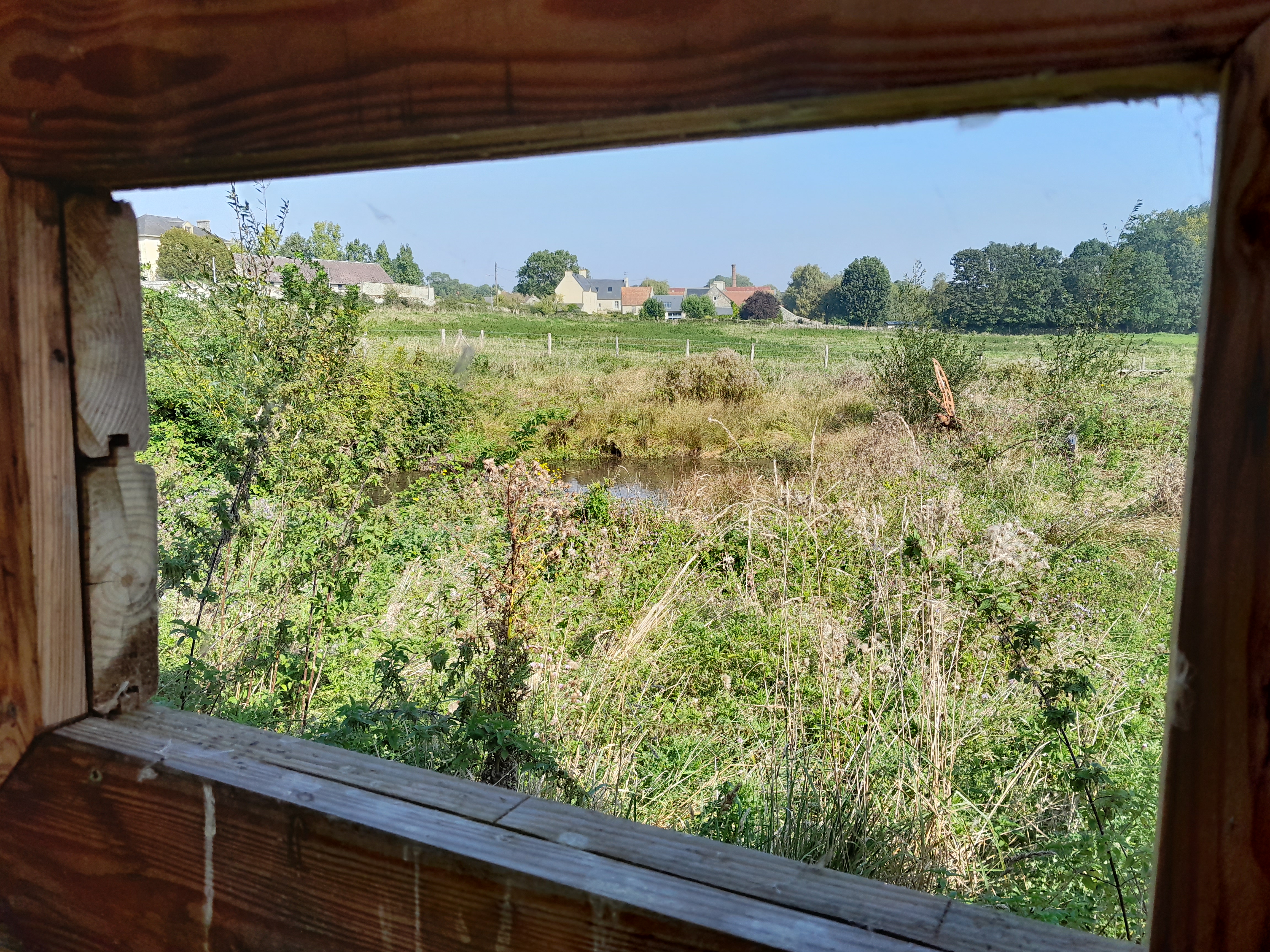 Thue-et-Mue_Sainte-Croix-Grand-Tonne (6).jpg