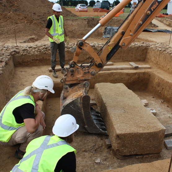 cd14---reference-dimage