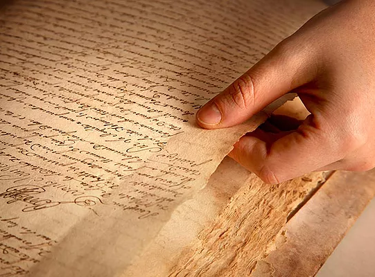 cd14---reference-dimage