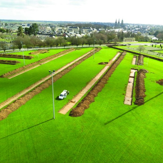 cd14---reference-dimage