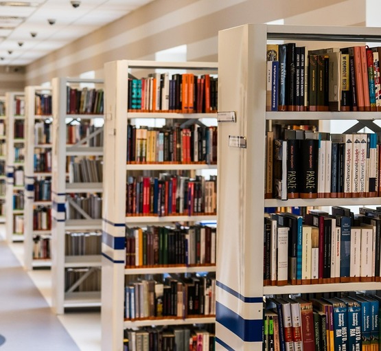 cd14---reference-dimage