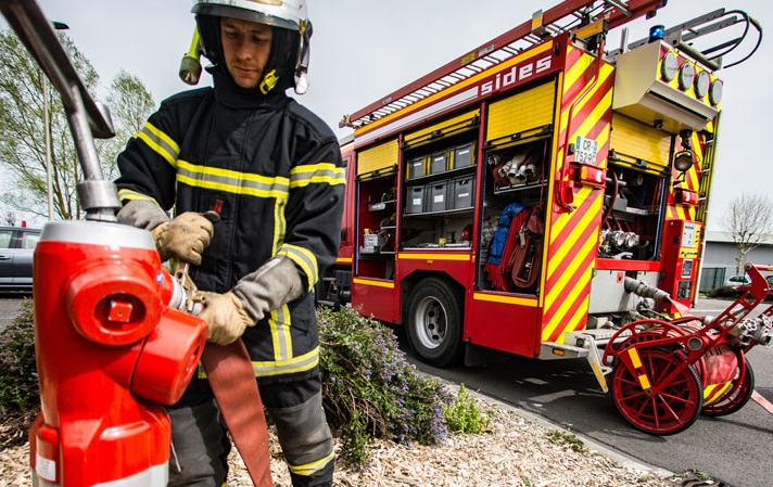 cd14---reference-dimage