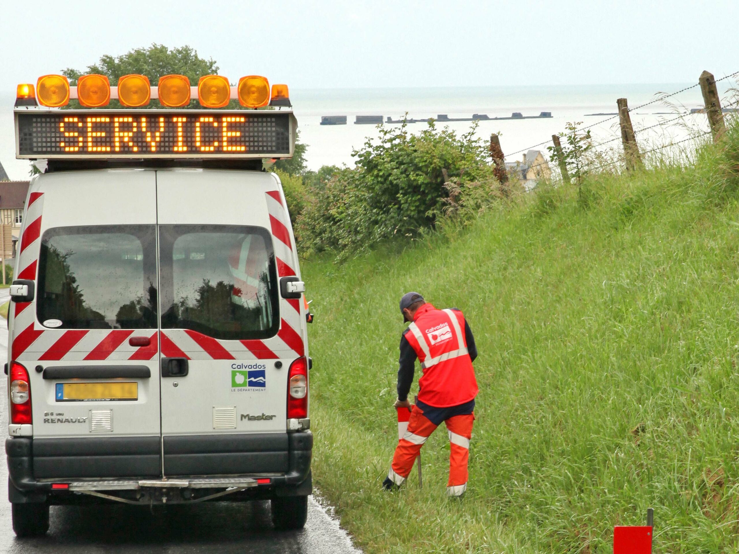 cd14---reference-dimage