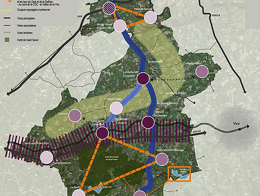 cd14---reference-dimage